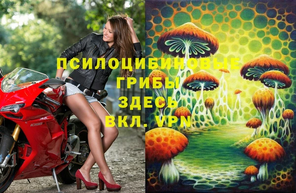 прущие грибы Алексин