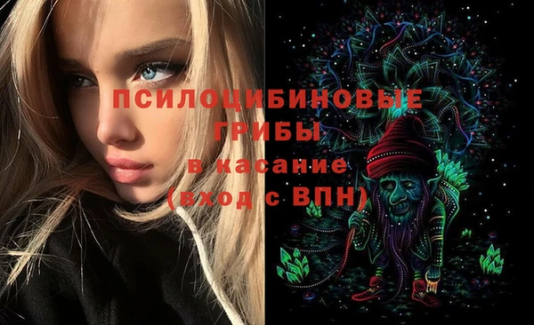 круглые Алексеевка
