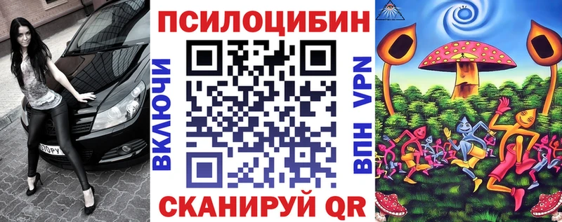 Псилоцибиновые грибы GOLDEN TEACHER где можно купить Арамиль